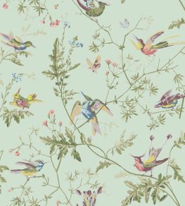 Hummingbirds Wallpaper by Cole & Son Multi, Old Olive on Duck Egg