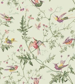 Hummingbirds Wallpaper by Cole & Son Multi, Old Olive on Eau Du Nil