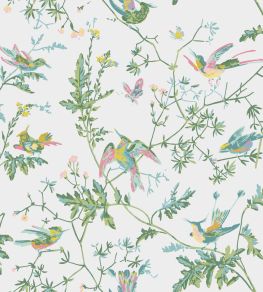 Hummingbirds Wallpaper by Cole & Son Green & Pink
