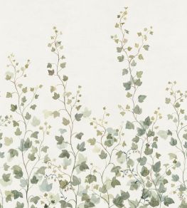 Ivy Mural by Sandberg Green