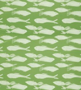 Kaku Fabric by Harlequin Sweet Pea