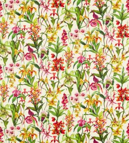 Kalina Fabric by Harlequin Parchment / Forest / Azalea