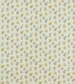 Leiden Fabric by Clarke & Clarke Blush/Sage