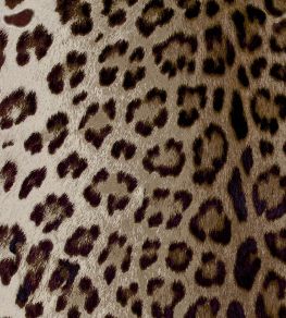 Leopard Fabric by Arley House Ash