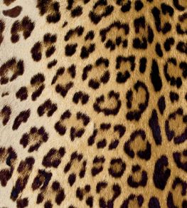 Leopard Fabric by Arley House Golden