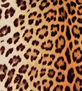 Leopard Fabric by Arley House Summer
