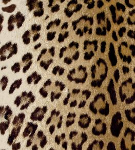 Leopard Fabric by Arley House Tan