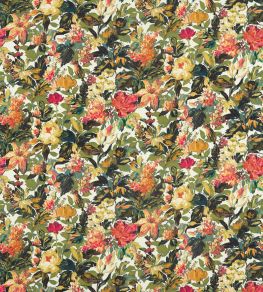 Lilum Fabric by Clarke & Clarke Olive/Raspberry