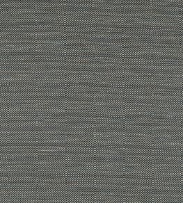 Loki Fabric by Clarke & Clarke Charcoal