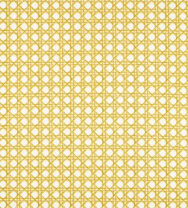 Lovelace Fabric by Harlequin Honey / Paper Lantern