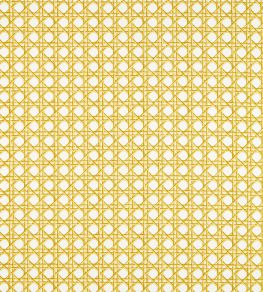 Lovelace Fabric by Harlequin Honey / Paper Lantern