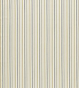 Maryland Fabric by Clarke & Clarke Ochre/Charcoal