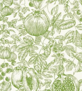 Melograno Wallpaper by Harlequin Forest / First Light