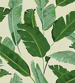 Banana Leaves Wallpaper by MINDTHEGAP Green