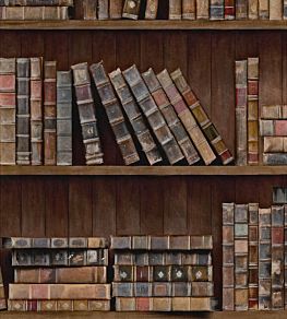 Book Shelves Wallpaper by MINDTHEGAP Brown Multi