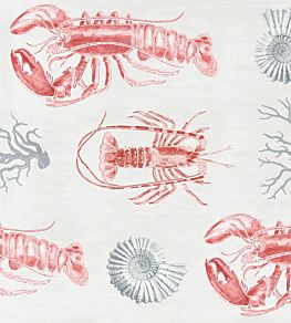 Lobster Wallpaper by MINDTHEGAP Red