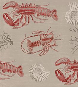 Lobster Wallpaper by MINDTHEGAP Taupe