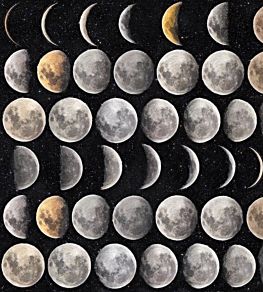 Moon Phases Wallpaper by MINDTHEGAP Black
