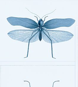 Entomology Wallpaper by MINDTHEGAP Blue
