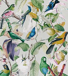 Tropical Birds Wallpaper by MINDTHEGAP Blue,Green,Taupe