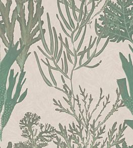 Light Corals Wallpaper by MINDTHEGAP Green, Taupe