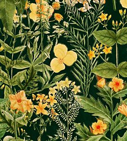 Mimulus Wallpaper by MINDTHEGAP Anthracite