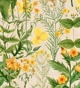 Mimulus Wallpaper by MINDTHEGAP Green, Taupe, Yellow