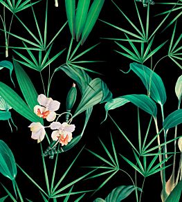 Palm Springs Wallpaper by MINDTHEGAP Anthracite