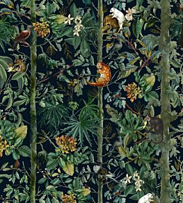 Wildlife Of Papua Wallpaper by MINDTHEGAP 27