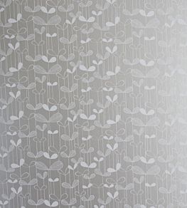 Saplings Wallpaper by MissPrint Silver with White