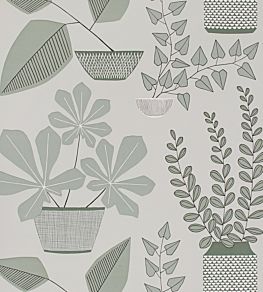 House Plants Wallpaper by MissPrint Brampton