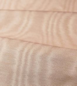 Moire Fabric by Zoffany Rose Quartz