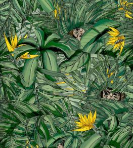 Monkey Forest Wallpaper by Brand McKenzie Dark Green / Yellow