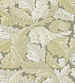 Acanthus Wallpaper by Morris & Co Stone