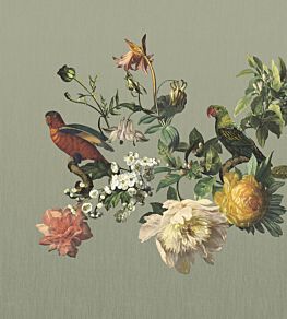 Posed Parrots Mural by Eijffinger 402