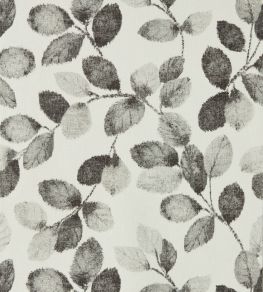 Northia Wallpaper by Clarke & Clarke Charcoal