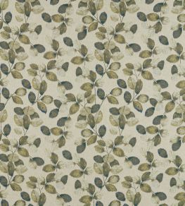 Northia Fabric by Clarke & Clarke Olive/Peacock