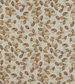 Northia Fabric by Clarke & Clarke Pewter