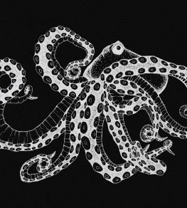 Octopus X-Ray Mural by Coordonne Black
