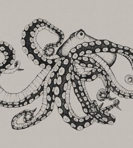 Octopus X-Ray Mural by Coordonne Ink