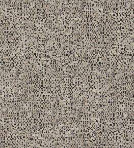 Orion Fabric by Clarke & Clarke Noir