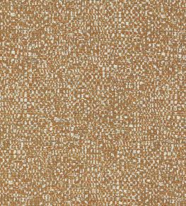 Orion Fabric by Clarke & Clarke Spice