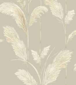 Pampas Grass Wallpaper by Brand McKenzie Oatmeal