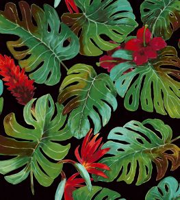 Panama Fabric by Arley House Ebony