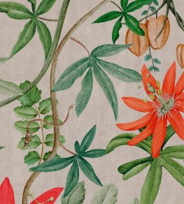 Passiflora Wallpaper by NLXL 4