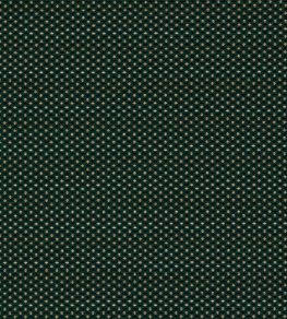 Pavo Fabric by Clarke & Clarke Forest