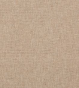 Pentridge Fabric by GP & J Baker Shell