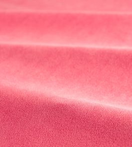 Performance Velvet Fabric by Harlequin Coral