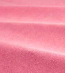 Performance Velvet Fabric by Harlequin Peony