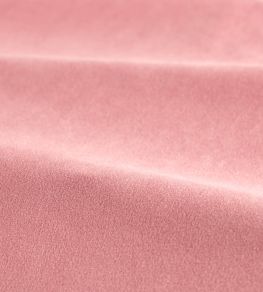 Performance Velvet Fabric by Harlequin Rose Quartz